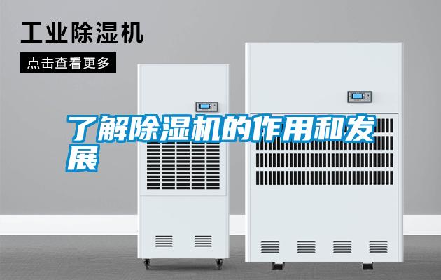 了解除湿机的作用和发展
