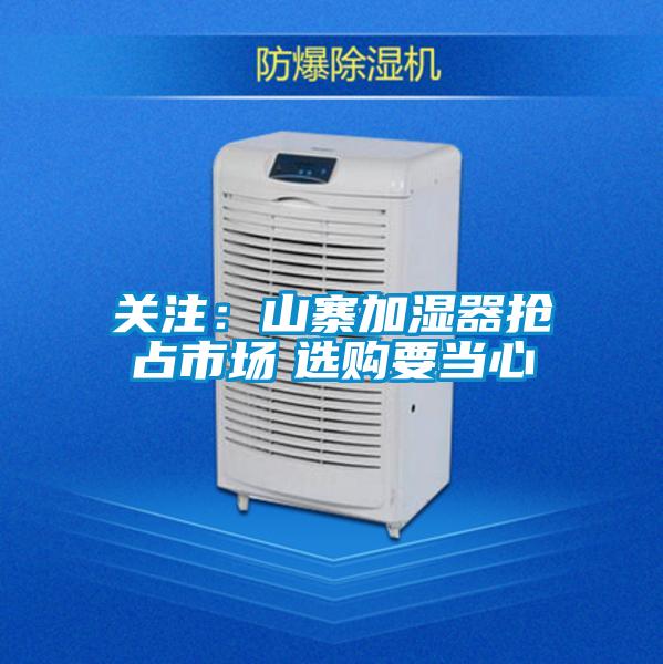 关注：山寨加湿器抢占市场　选购要当心