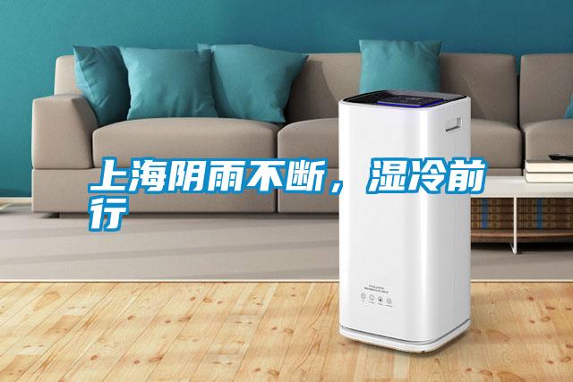 上海阴雨不断,湿冷前行