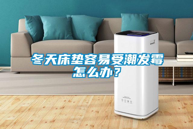 冬天床垫容易受潮发霉怎么办？