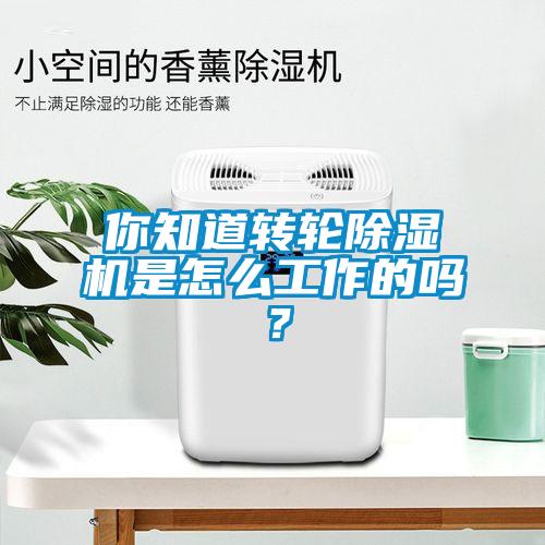 你知道转轮除湿机是怎么工作的吗？