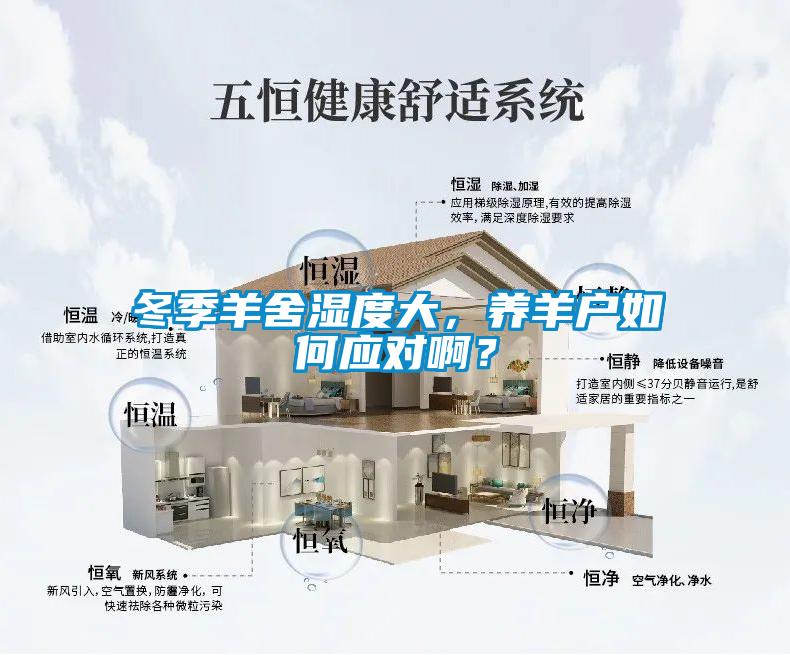冬季羊舍湿度大，养羊户如何应对啊？