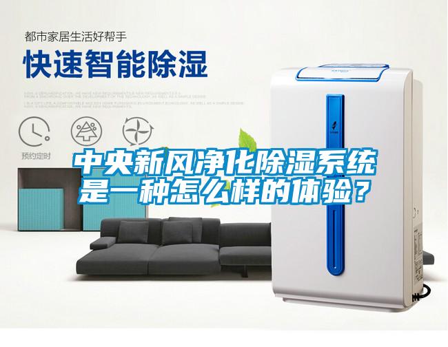 中央新风净化除湿系统是一种怎么样的体验？
