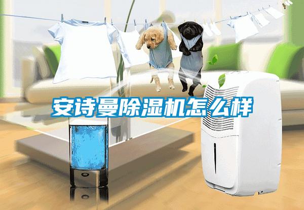 安诗曼除湿机怎么样