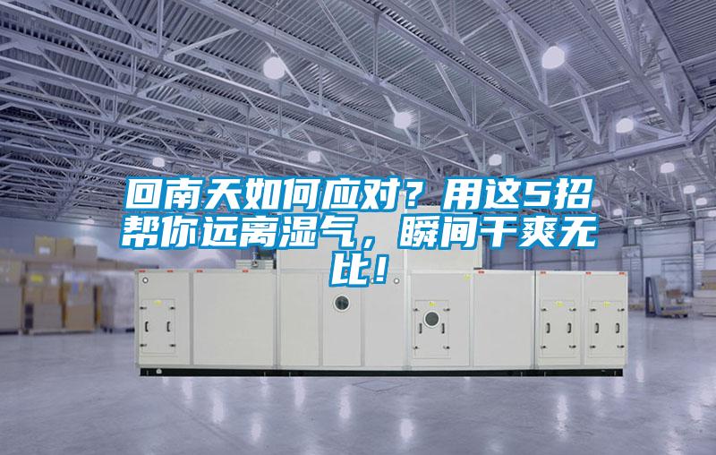 回南天如何应对？用这5招帮你远离湿气，瞬间干爽无比！
