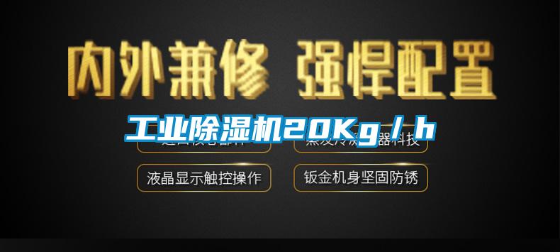工业除湿机20Kg／h