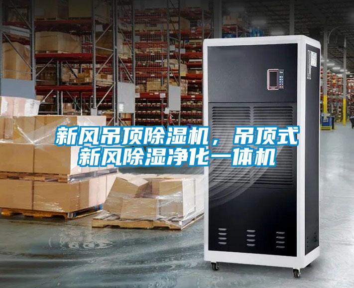 新风吊顶除湿机，吊顶式新风除湿净化一体机