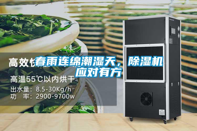 春雨连绵潮湿天，除湿机应对有方