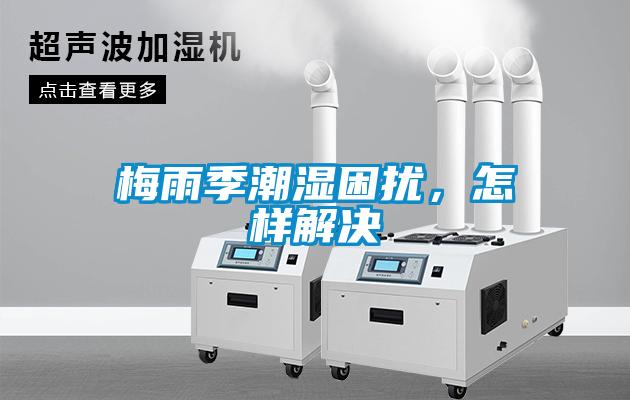 梅雨季潮湿困扰，怎样解决