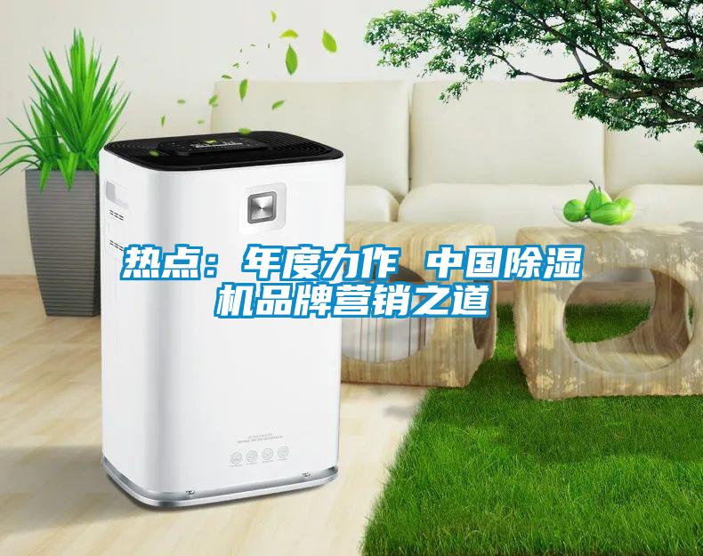 热点：年度力作 中国除湿机品牌营销之道