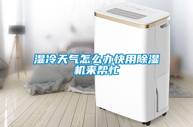 湿冷天气怎么办快用除湿机来帮忙