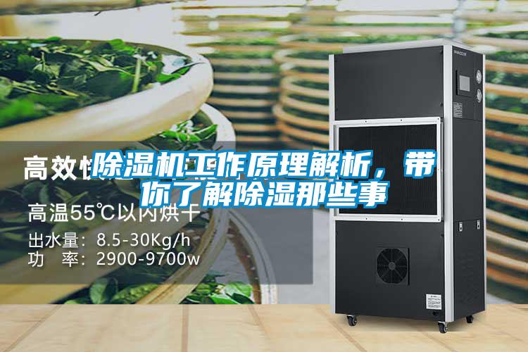 除湿机工作原理解析，带你了解除湿那些事