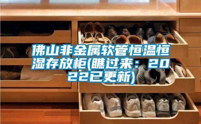 佛山非金属软管恒温恒湿存放柜(瞧过来：2022已更新)