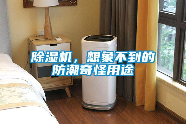 除湿机，想象不到的防潮奇怪用途