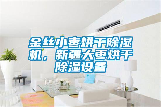 金丝小枣烘干除湿机，新疆大枣烘干除湿设备