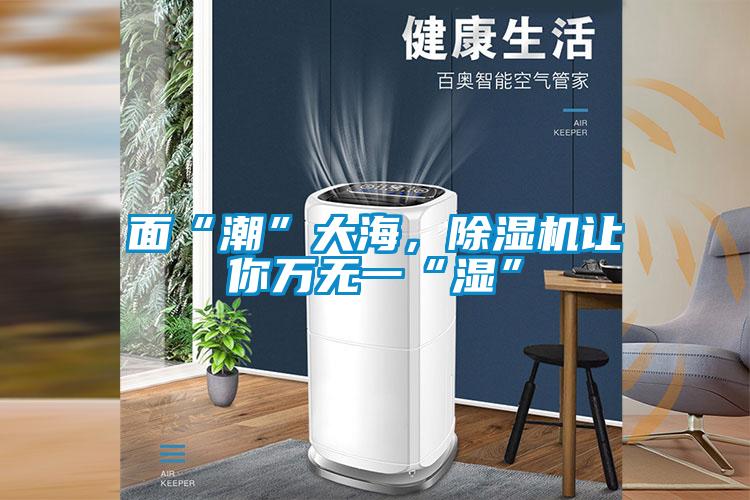 面“潮”大海，除湿机让你万无一“湿”