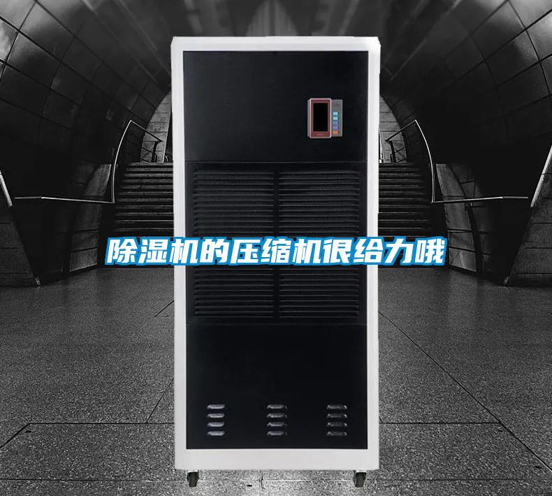 除湿机的压缩机很给力哦
