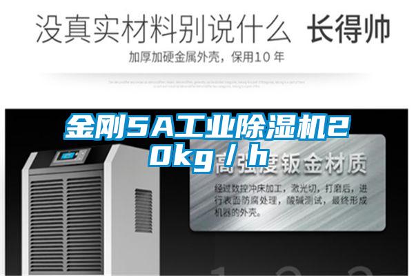 金刚5A工业除湿机20kg／h