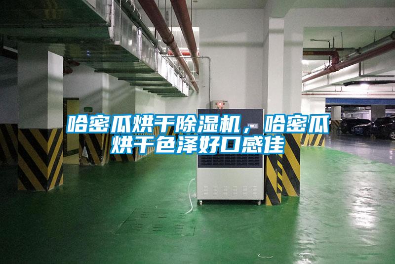 哈密瓜烘干除湿机，哈密瓜烘干色泽好口感佳