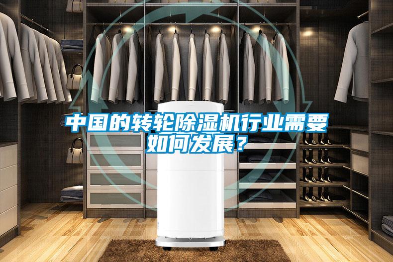中国的转轮除湿机行业需要如何发展？