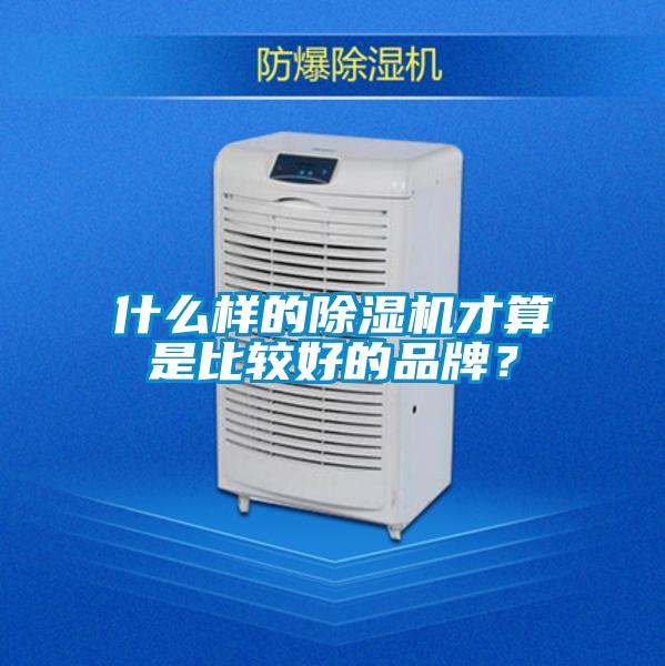 什么样的除湿机才算是比较好的品牌？