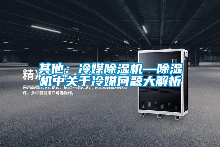 其他：冷媒除湿机—除湿机中关于冷媒问题大解析