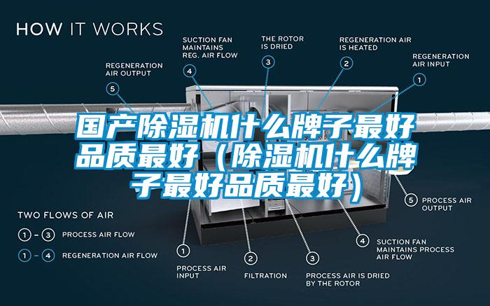 国产除湿机什么牌子最好品质最好（除湿机什么牌子最好品质最好）