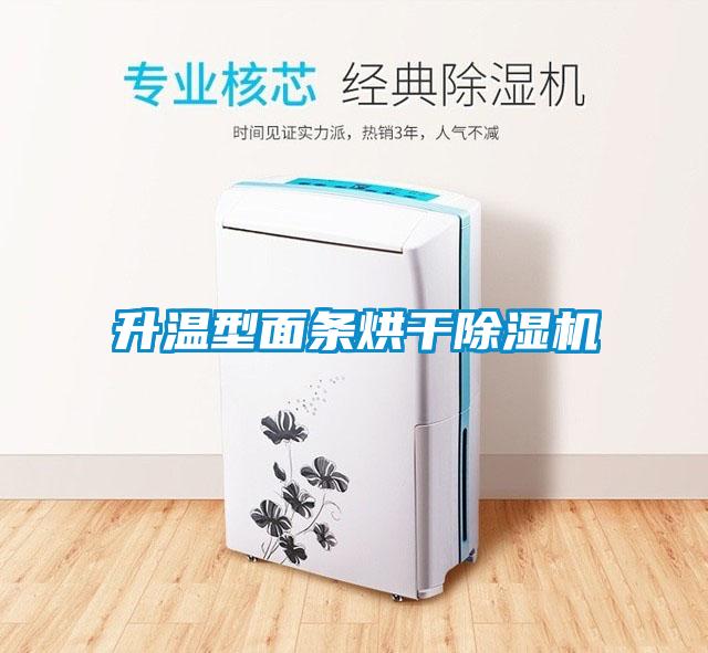 升温型面条烘干除湿机