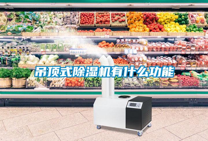 吊顶式除湿机有什么功能