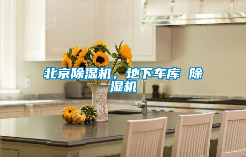 北京除湿机，地下车库 除湿机