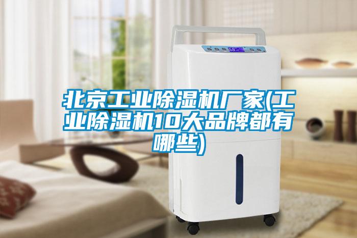 北京工业除湿机厂家(工业除湿机10大品牌都有哪些)