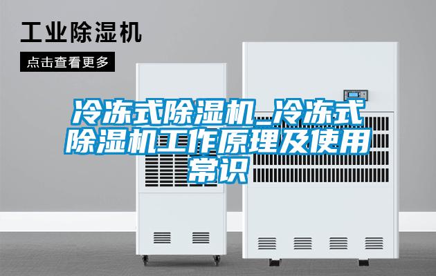冷冻式除湿机_冷冻式除湿机工作原理及使用常识