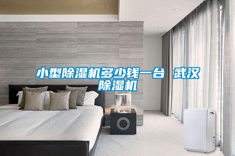 小型除湿机多少钱一台 武汉除湿机