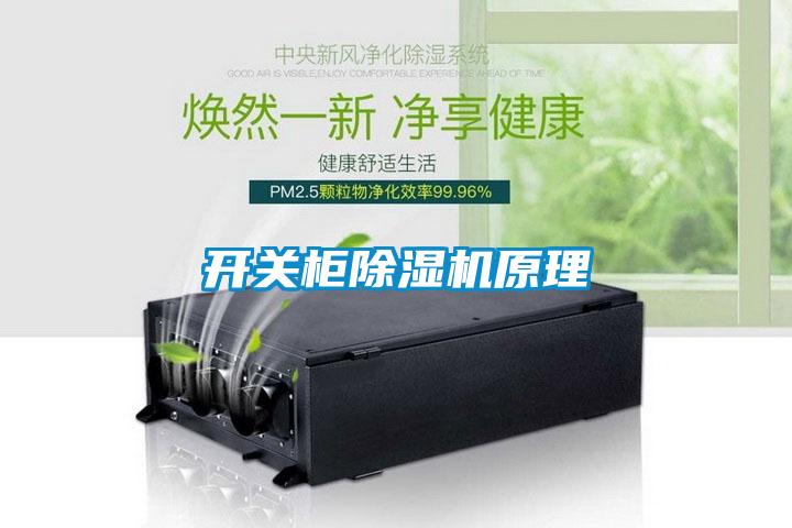 开关柜除湿机原理