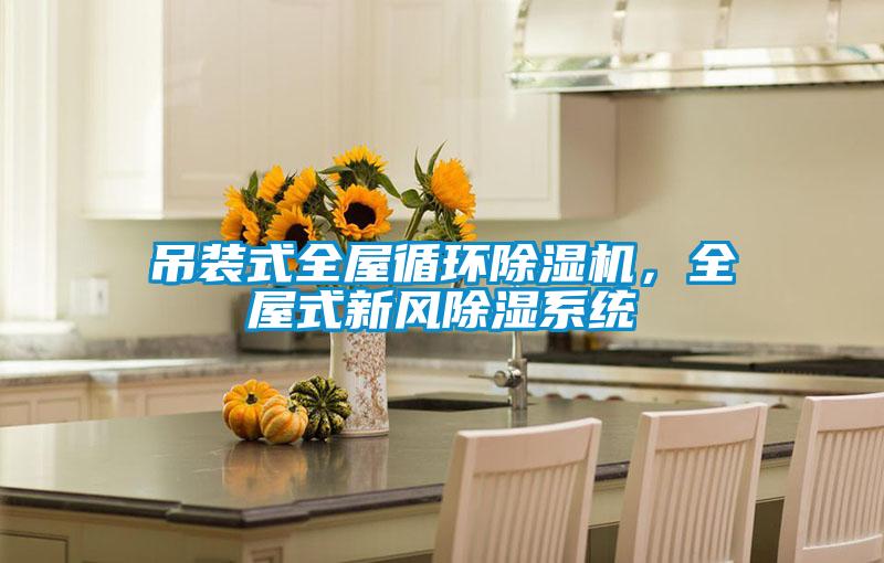 吊装式全屋循环除湿机，全屋式新风除湿系统