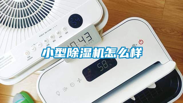 小型除湿机怎么样