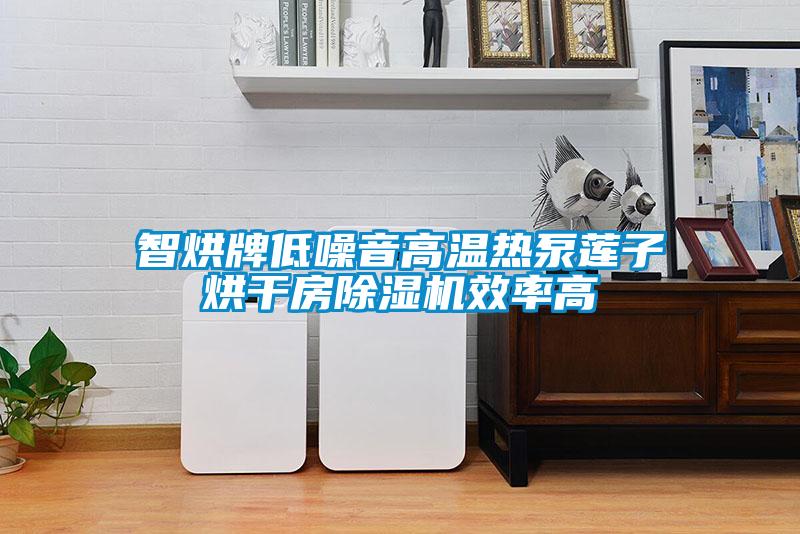 智烘牌低噪音高温热泵莲子烘干房除湿机效率高