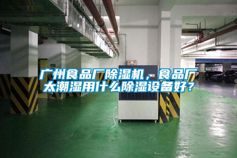 广州食品厂除湿机，食品厂太潮湿用什么除湿设备好？