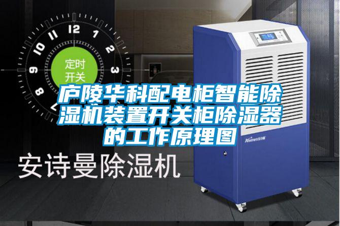 庐陵华科配电柜智能除湿机装置开关柜除湿器的工作原理图