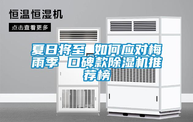 夏日将至 如何应对梅雨季 口碑款除湿机推荐榜