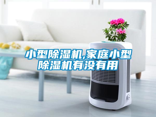 小型除湿机,家庭小型除湿机有没有用