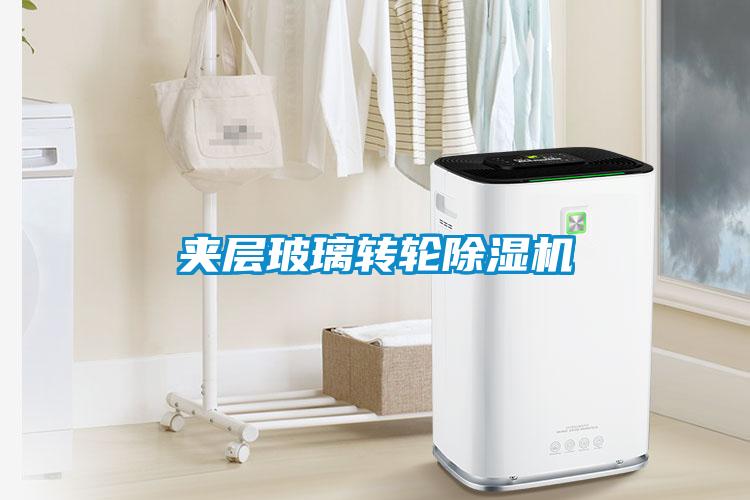 夹层玻璃转轮除湿机