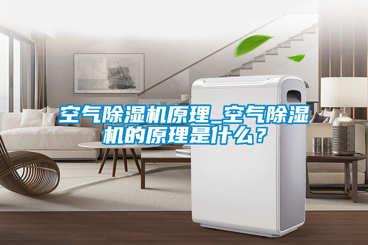 空气除湿机原理_空气除湿机的原理是什么？