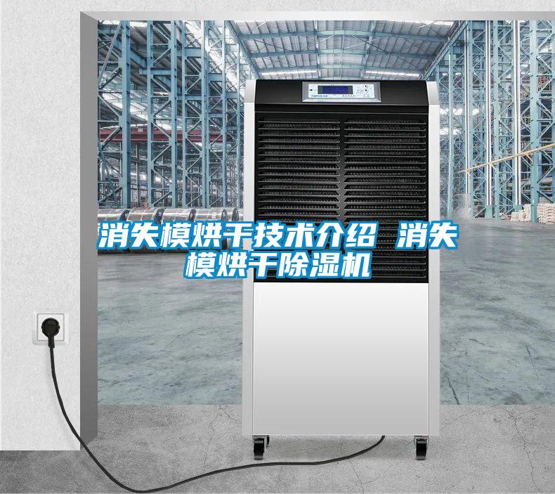 消失模烘干技术介绍 消失模烘干除湿机