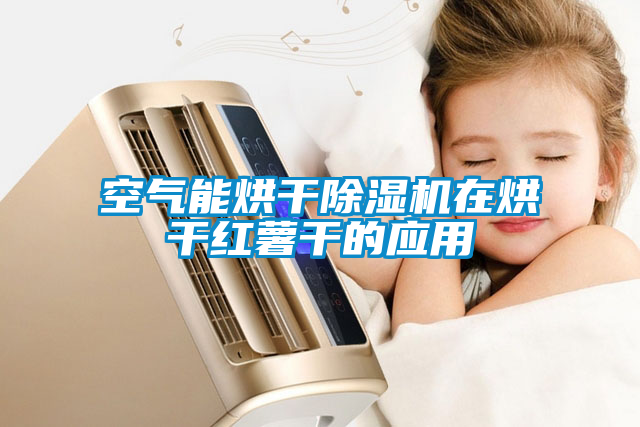 空气能烘干除湿机在烘干红薯干的应用