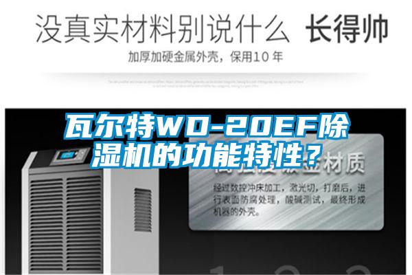 瓦尔特WD-20EF除湿机的功能特性？