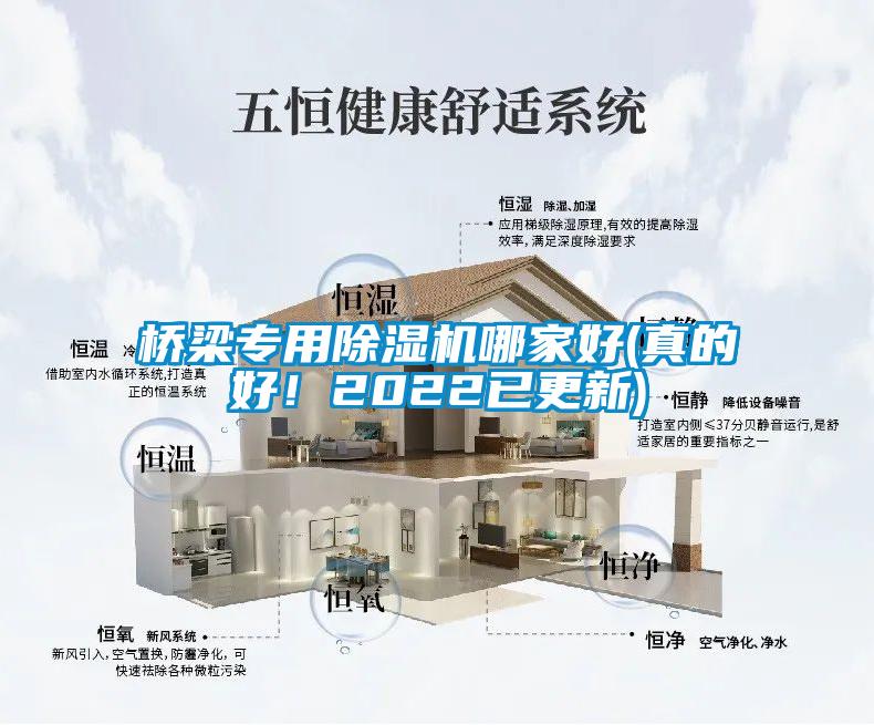 桥梁专用除湿机哪家好(真的好！2022已更新)