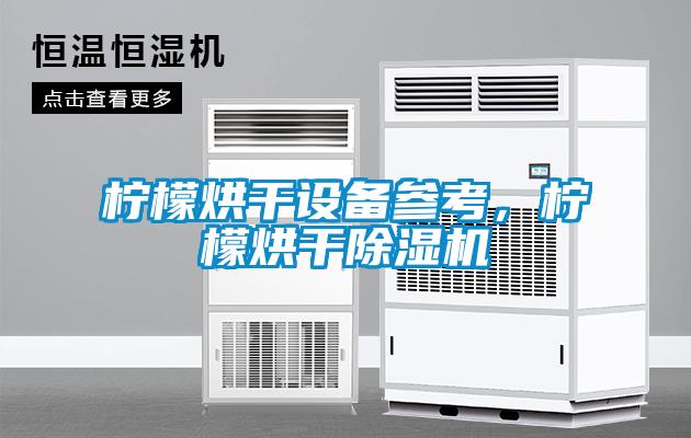柠檬烘干设备参考，柠檬烘干除湿机