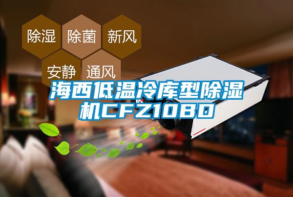 海西低温冷库型除湿机CFZ10BD