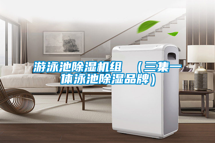 游泳池除湿机组 （三集一体泳池除湿品牌）